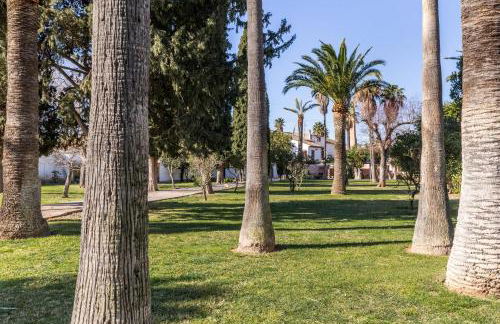 Moli dels Reis - Foto 33