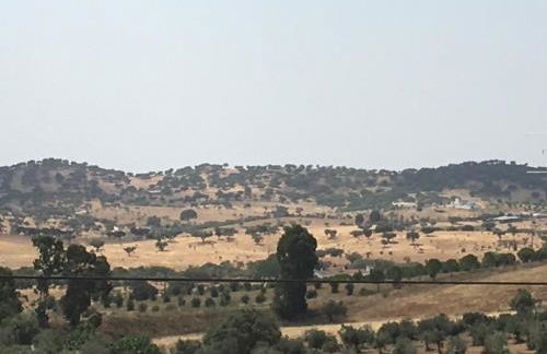 Caminho de Santiago, Alandroal - Foto 75