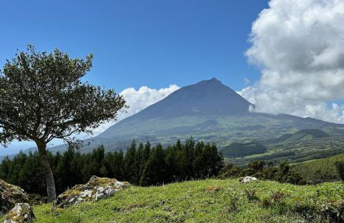 Casa das Duas Ribeiras - Photo 18