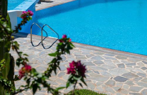 Kefalonian Mill - Oneira Villas - Foto 18