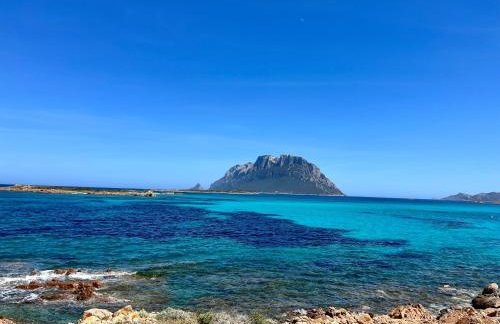 Villa Alzoni - Foto 11