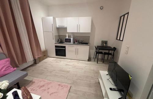 Nid douillet Le Raincy proche Paris et Stade de France de Saint Denis - Foto 4