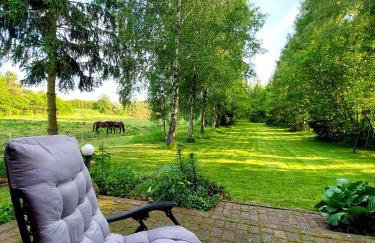 Masuria Hut - Foto 34