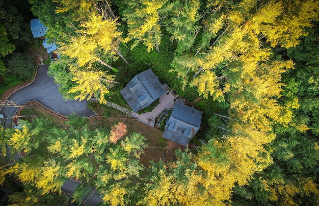 Heritage Hill Cabins - Foto 60