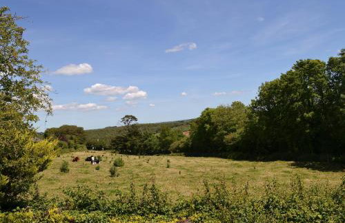 Pennacott-Tns - Photo 14