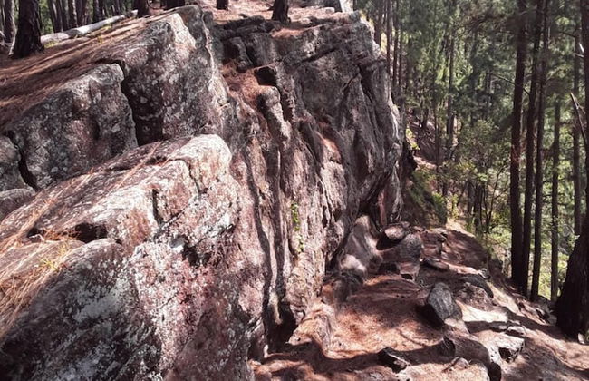 Mount view family rest & cottage - Photo 36