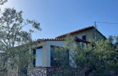 Ulivi e Mare - Foto 1