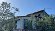 Ulivi e Mare - Foto 1