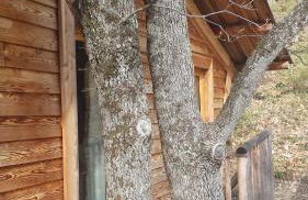 Cabane de la Bannette - Magnifique cabane dans les arbres, vue panoramique - Foto 7