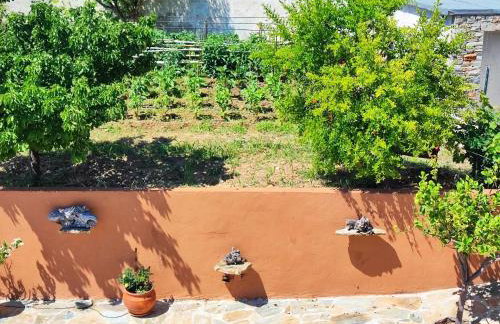 Seagulls - Within walking distance from sea! - Foto 12