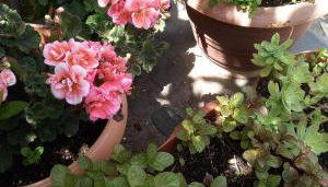 Villa Dolce Vita - Photo 4