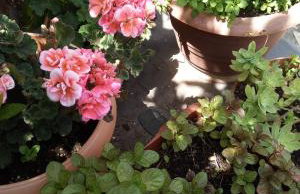 Villa Dolce Vita - Foto 4