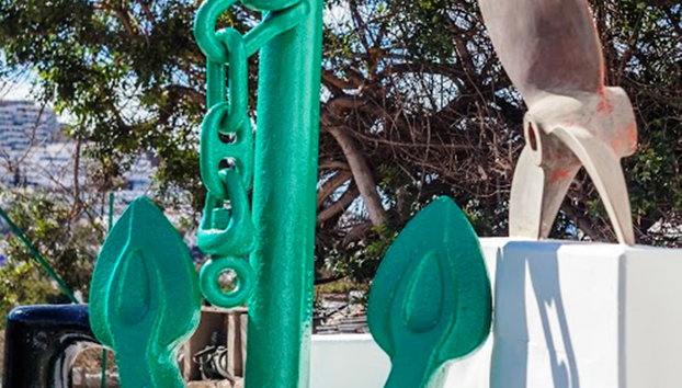 Heliomar Palmeras - Foto 5