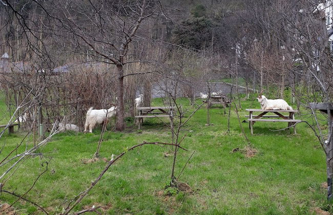 Sunrise Apartments - Foto 32