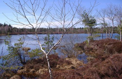 Landhaus Fürberger - Foto 28