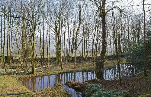 Laundry Cottage - Foto 23