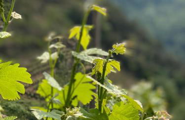 Les Barras’k - Foto 33