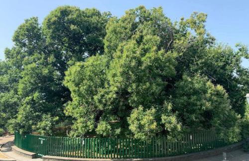 Casa Leopina Apri gli occhi e vola oltre il mare - Foto 46