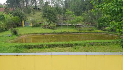 Bela Chácara - Foto 4