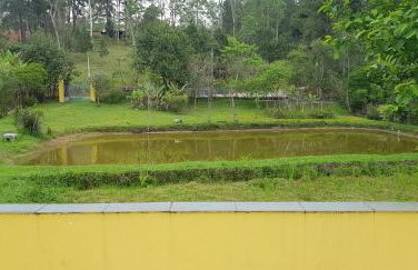 Bela Chácara - Foto 4