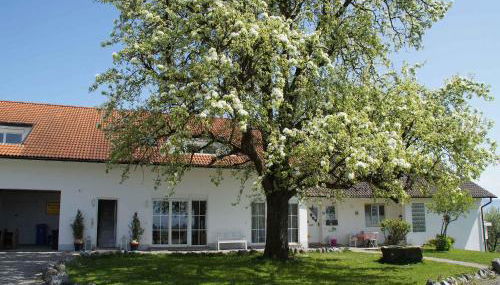 Ferien- und Obsthof Sonnenhalde - Foto 1