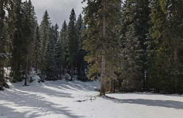 Chalet dans le parc régional du Haut-Jura - Foto 23
