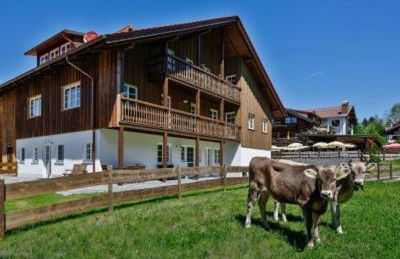 "Viktoria Apartments" - Annehmlichkeiten von 4-Sterne Familien-und Wellnesshotel Viktoria können mitgenutzt werden - Photo 32