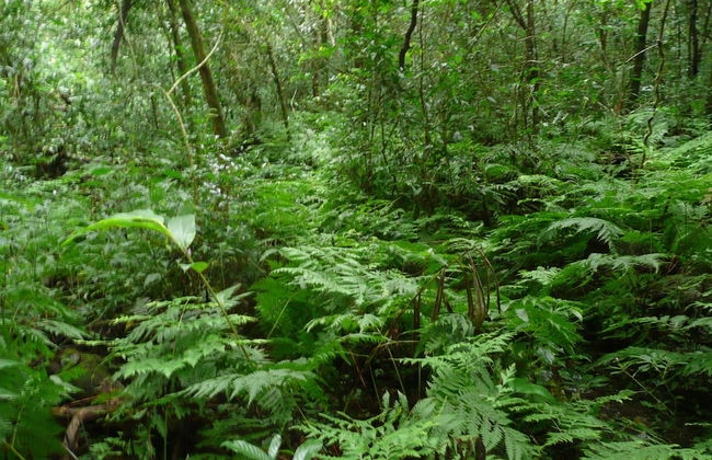 Madrugada Magic - Foto 24