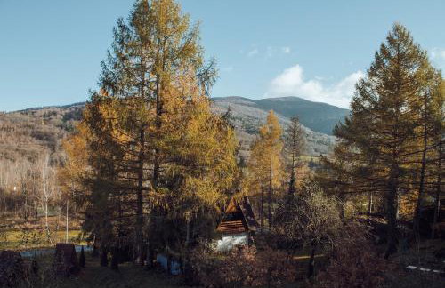 Mysia Nora - Photo 14