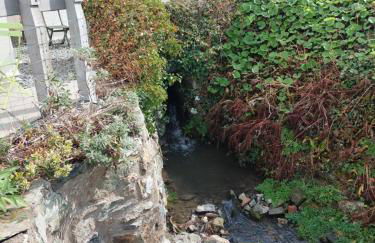 Church Bay Cottage Dog Friendly Sea Views - Foto 4