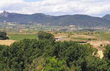 APARTAMENTO REY ENEO II 80 m2 en la Cuna Histórica del Vino - Photo 45