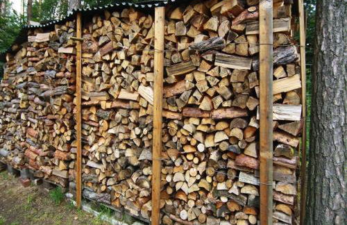 Ferienhaus in der Feldberger Seenlandschaft - Foto 22