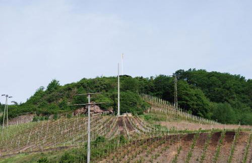 Ferienwohnung In der Kehr - Foto 19
