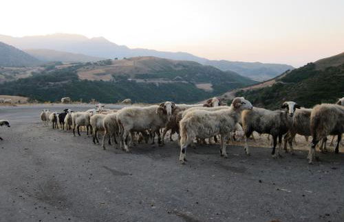 Marika's House - Foto 39