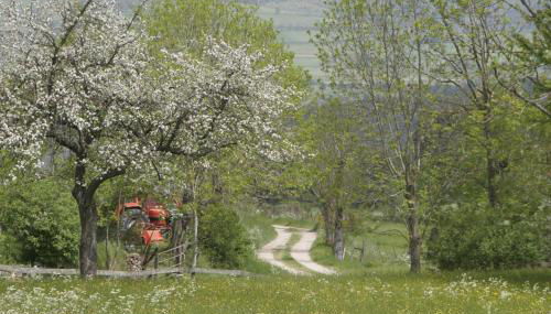 La maison d'Anastasie - Foto 2