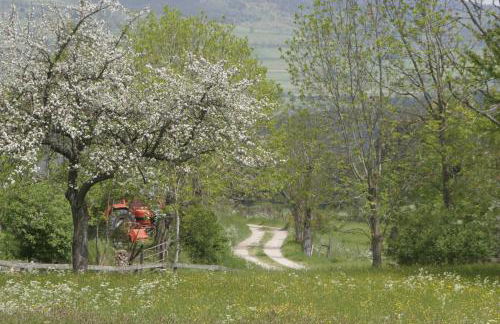 La maison d'Anastasie - Foto 2
