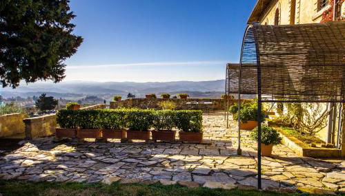 Fattoria di Cinciano - Foto 4