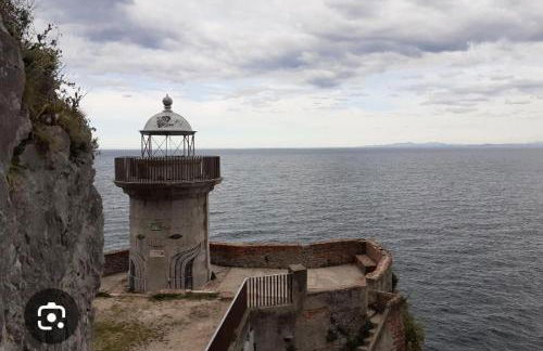 Apartamento Aurora - Foto 40