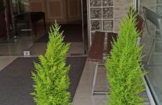 Chariclia Hotel - Foto 10