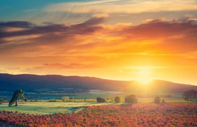 Au Coin des Vins - Foto 77