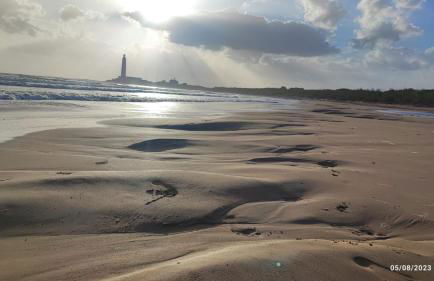 Villa Oasi dune e mare - Foto 23