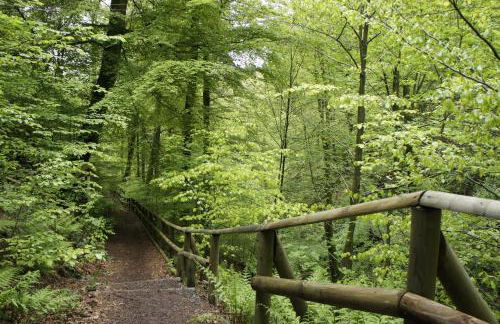 Elpe Apartments Hochsauerland - Foto 39