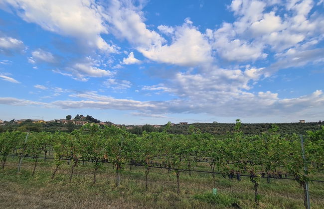 Casa il Cielo - Foto 31