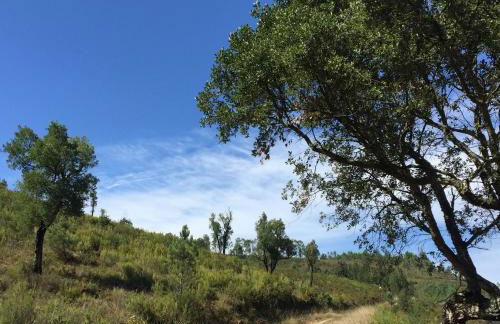 O Muíño da Balsiña - Foto 25