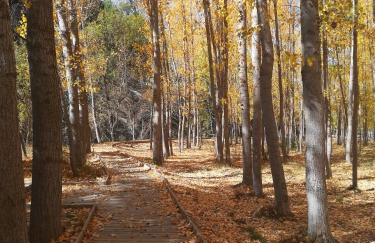 Saluda Alta - Foto 54