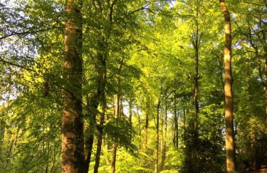 Mamat Ferienwohnungen - Foto 27