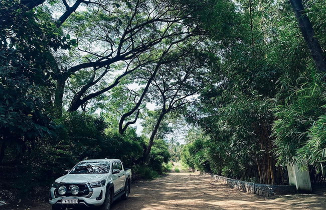 Bamboo Nest - Foto 25