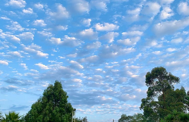 Rancheria Loft Chalets - Photo 13