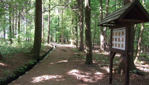 Ferienwohnung Erzgebirge - Pobershau - mit schönem Ausblick, ruhige, beste Lage - Photo 5