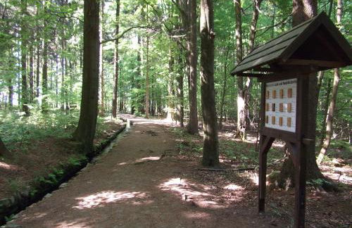 Ferienwohnung Erzgebirge - Pobershau - mit schönem Ausblick, ruhige, beste Lage - Foto 5